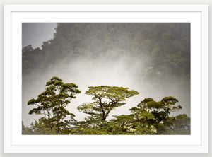 White frame