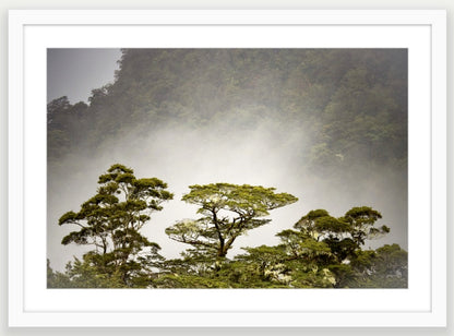 White frame