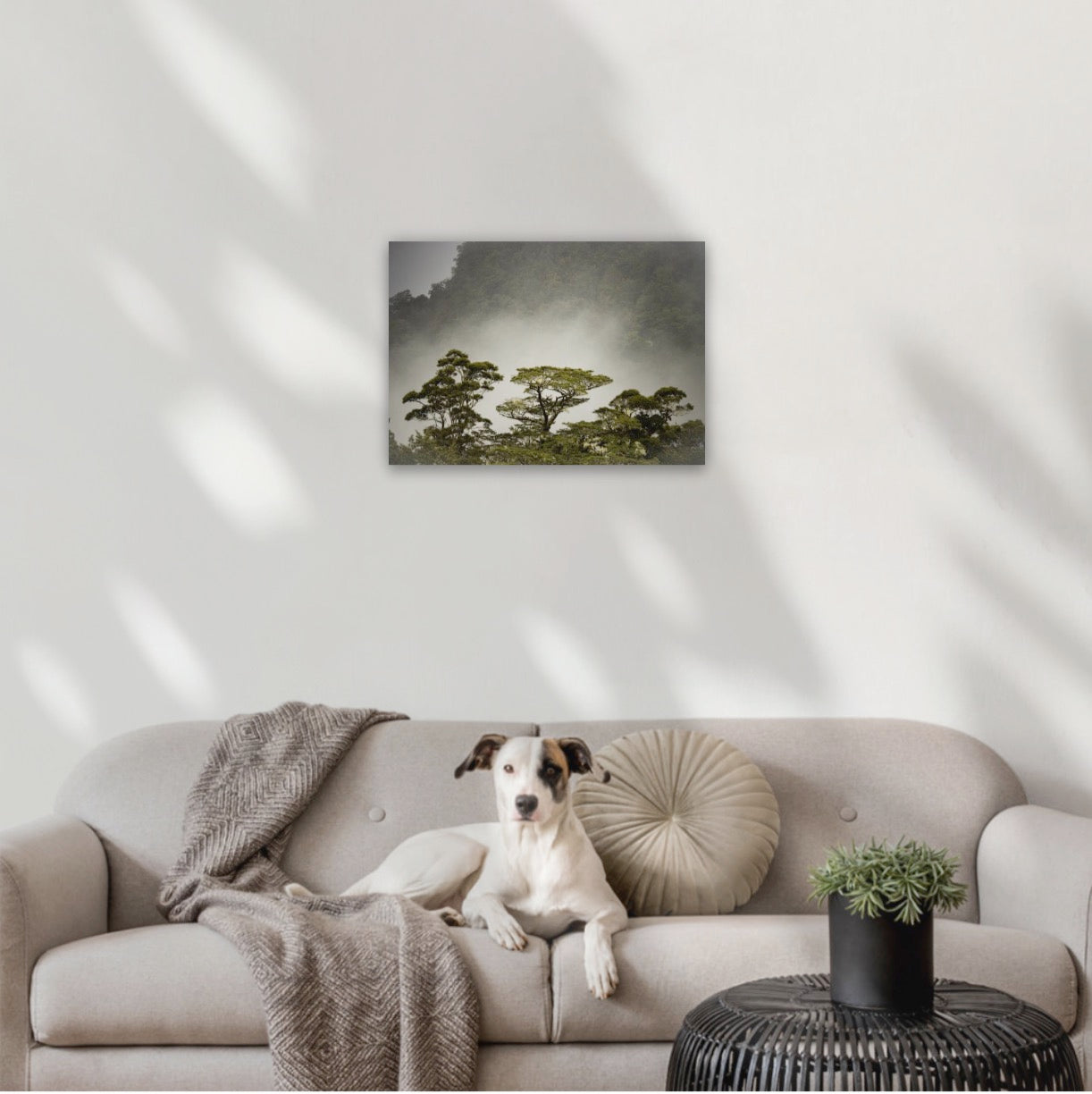 16"x24" Canvas 400x600mm (approx. A2 or 42x59.4cm)