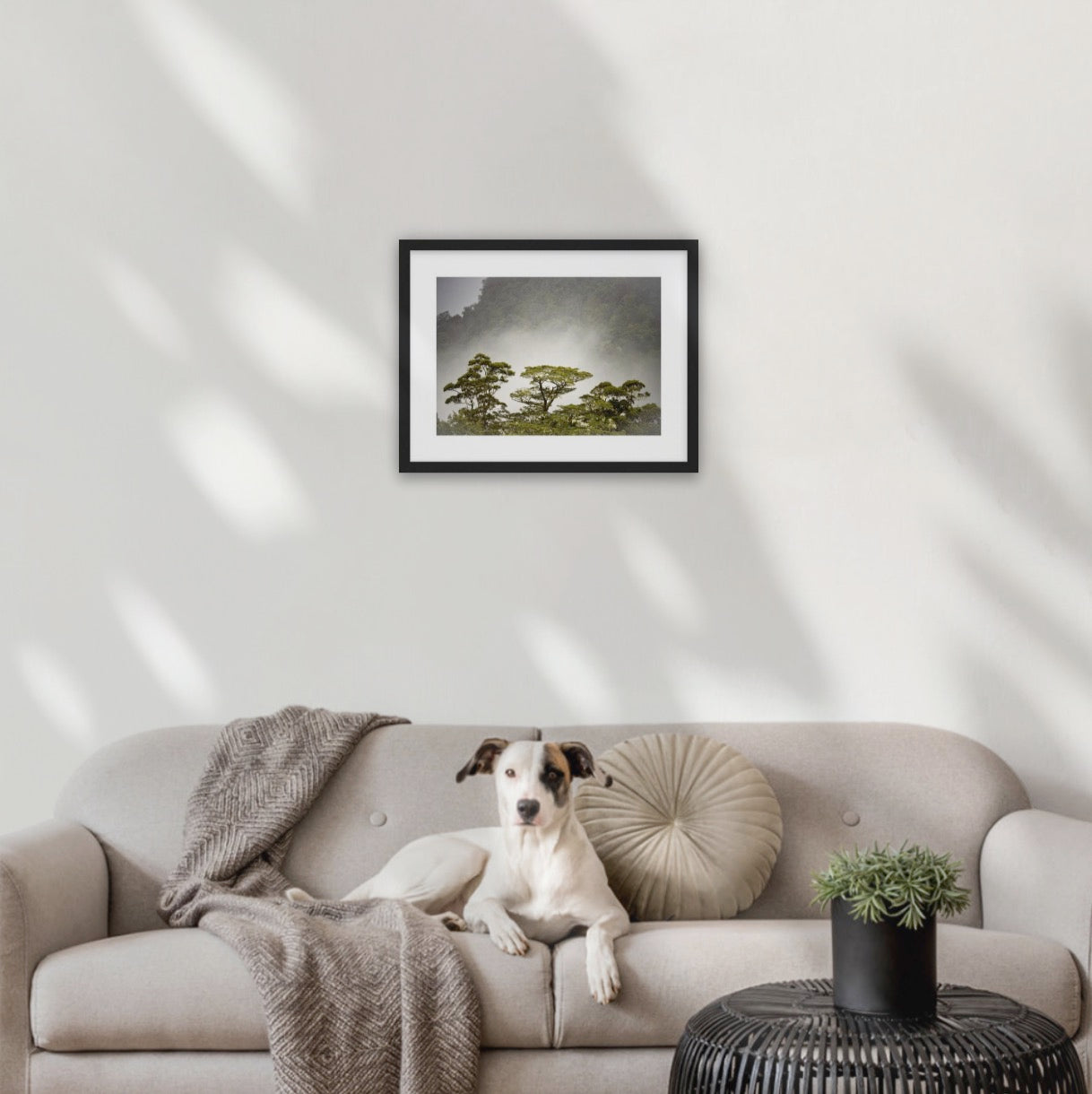 A3 black wood frame (420 x 297mm print, 550× 420mm frame) 
