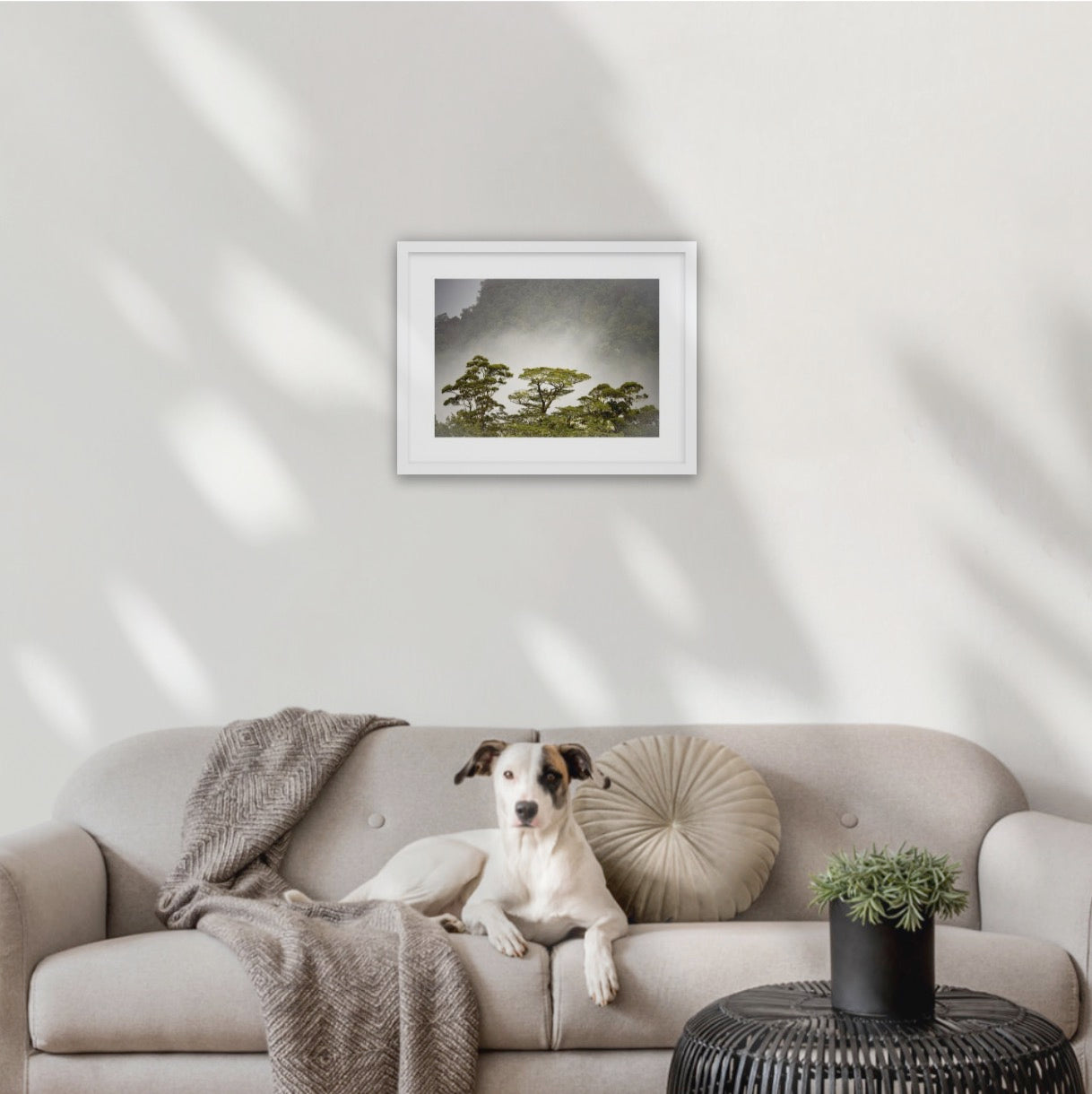 A3 white wood frame (420 x 297mm print, 550× 420mm frame) 