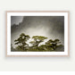 Raw wood frame - raw colour, polished wood