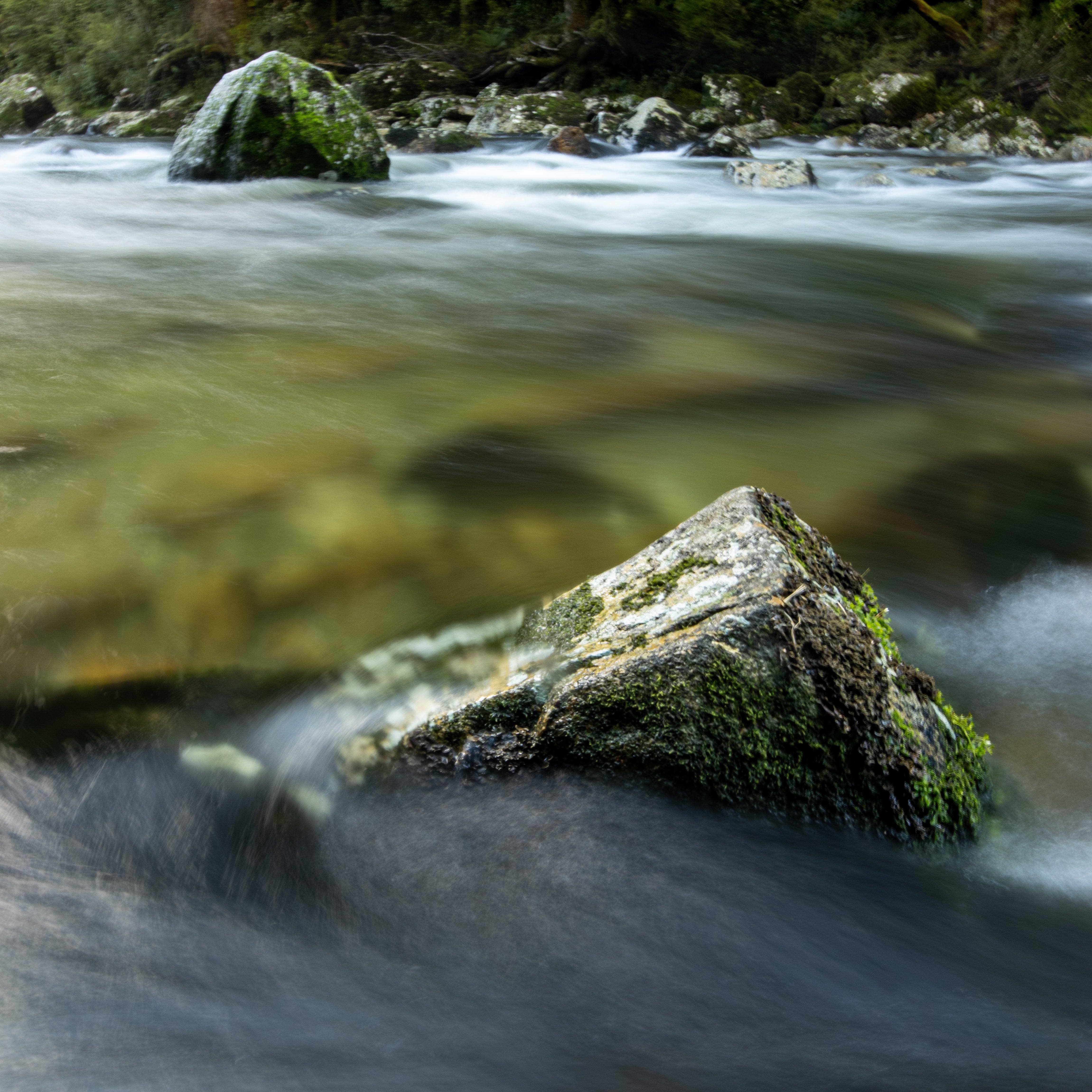 A long-exposure wilderness photograph of a Clinton river, Milford Track, with smooth water blur around mossy rocks in a native bush setting.