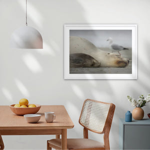 A1 wood frame (841 × 594mm print, 970m × 720mm frame)