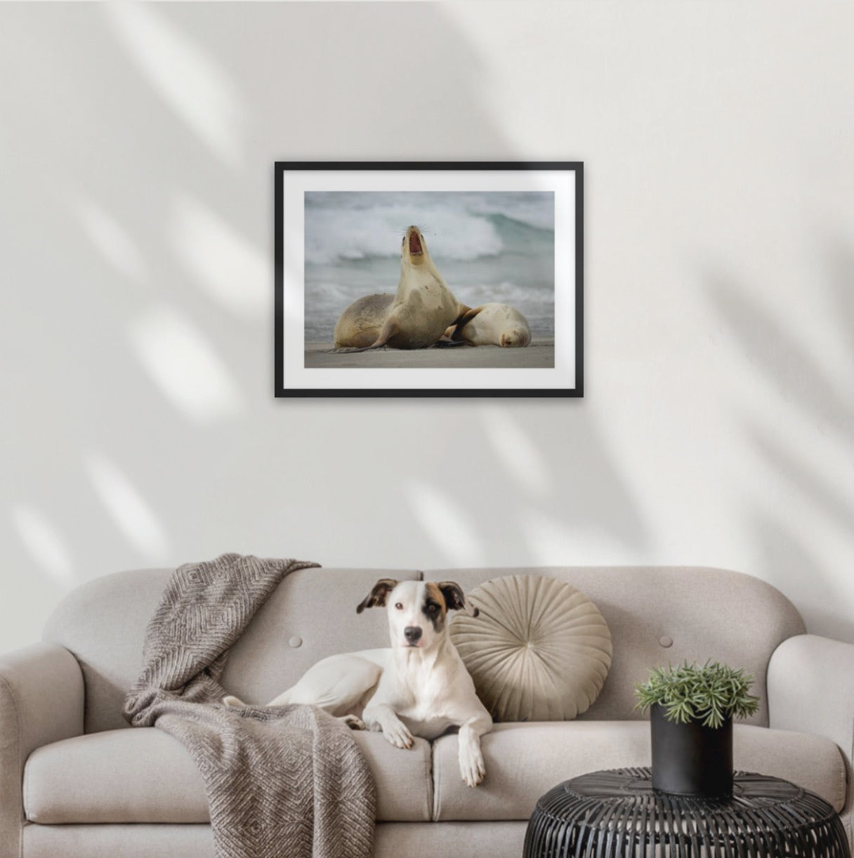 A2 wood frame (594 x 420mm print, 720 × 550mm frame)