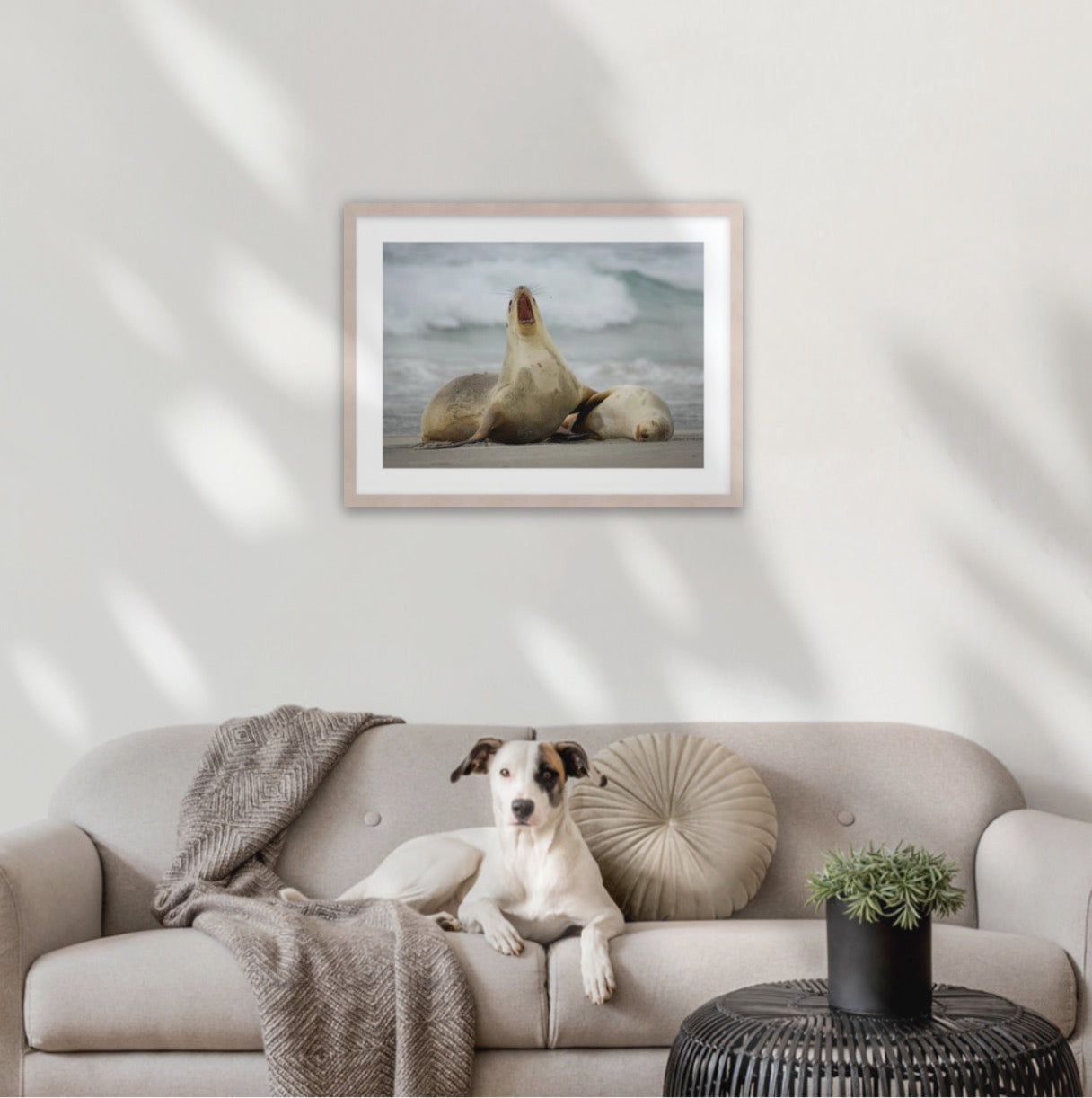 A2 wood frame (594 x 420mm print, 720 × 550mm frame)