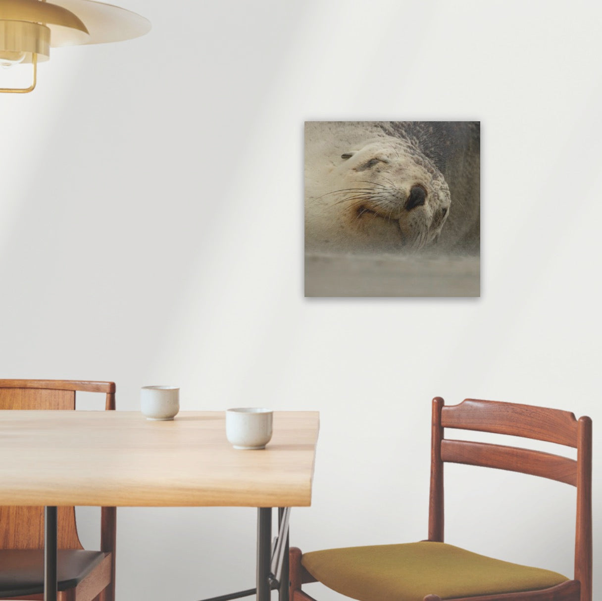 Canvas (500 x 500mm)