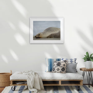 A2 wood frame (594 x 420mm print, 720 × 550mm frame)
