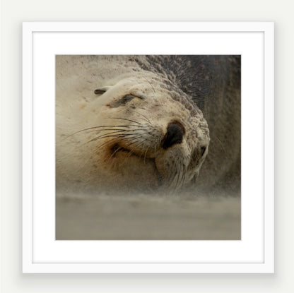 50x50cm, 40x40cm framed art