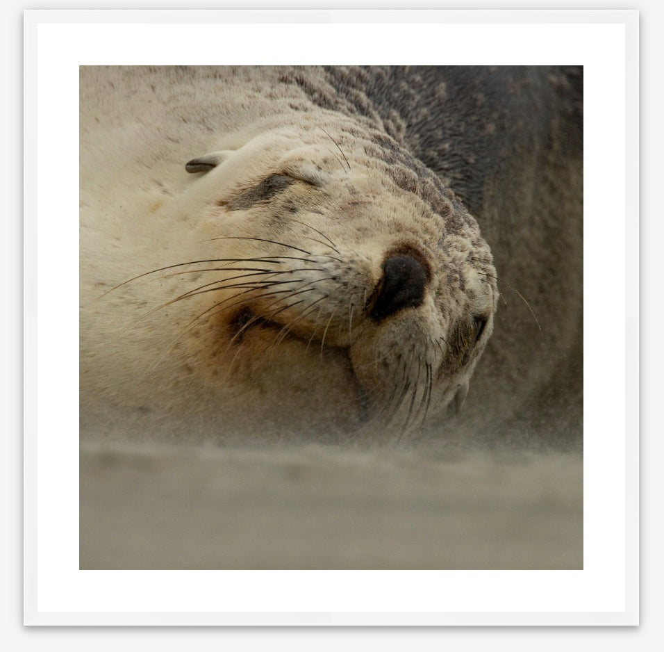 500x500 Wood frame (430 x 430mm print. 524 × 524mm frame)