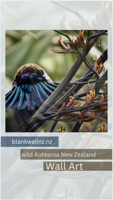 Load video: About Blankwallnz. Bringing wild art from my walks to your walls. Wild Aotearoa New Zealand Wall Art for blank walls.