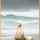 A framed canvas float showing sea lion and pup on a sandy beach with ocean waves and a hazy green hill in the background.