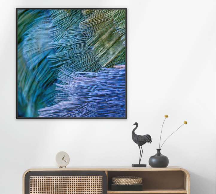 A float framed canvas abstract real photo wall art print featuring textured blue, teal, and green feathers of an New Zealand rare Takahe bird, displayed above a wooden console table with decorative objects in a styled interior setting.