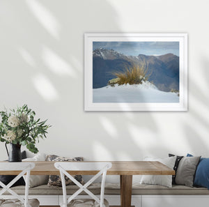 Tussock in Snow, shows the story of wild high peaks of the Otago province in deep south of New Zealand A1 size