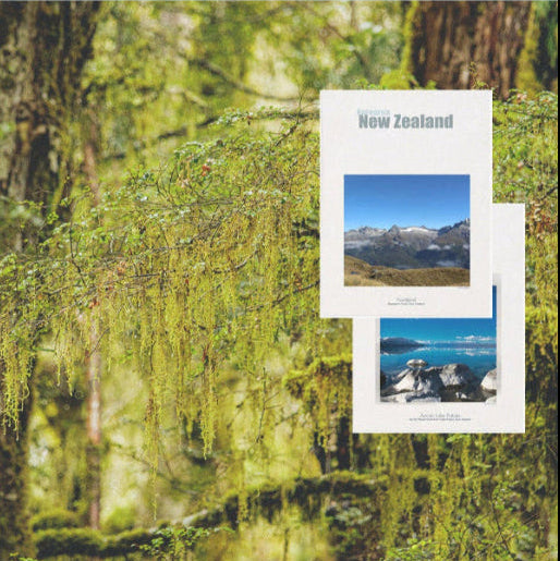 Posters of New Zealand wilderness against a blurred forest background with hanging sphagnum moss and trees. Routeburn poster and Lake Tekapo poster