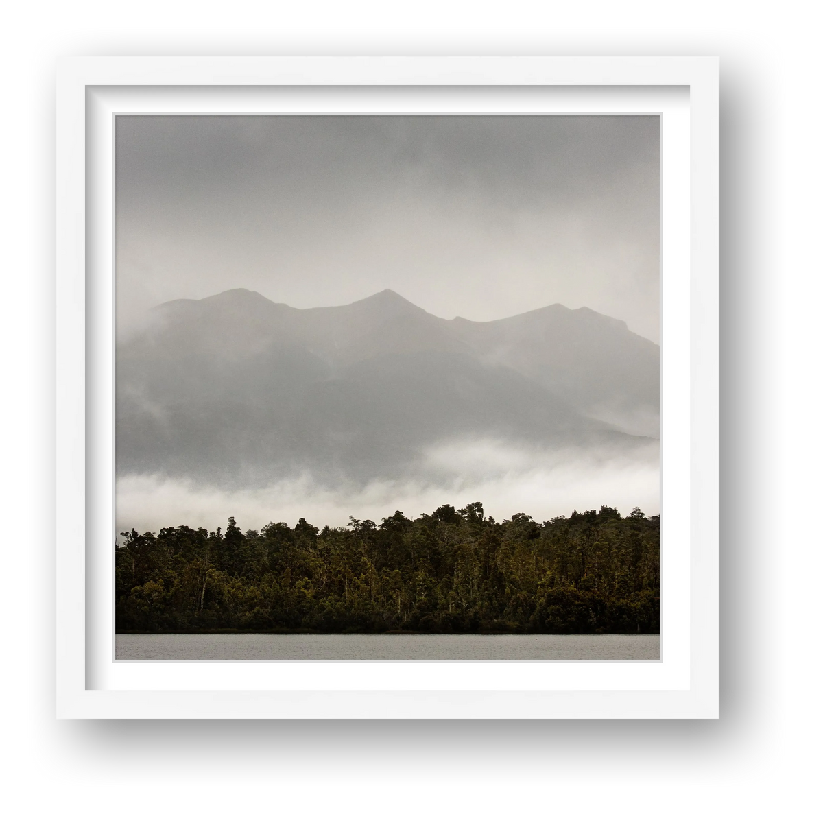 Wilderness rainforest on Lake Te Anau, Fiordland, Aotearoa. Colour fine art photography in black, greys, white and dark green. Wet grey moody Fiordland. New Zealand rainforest in a typical midsummer day. Boat ride to the Milford Track wilderness walk though World Heritage area of Fiordland. Wilderness wall art that is elegant and real, share the story of the walk of the deep wild south of New Zealand. Framed wild wall art.