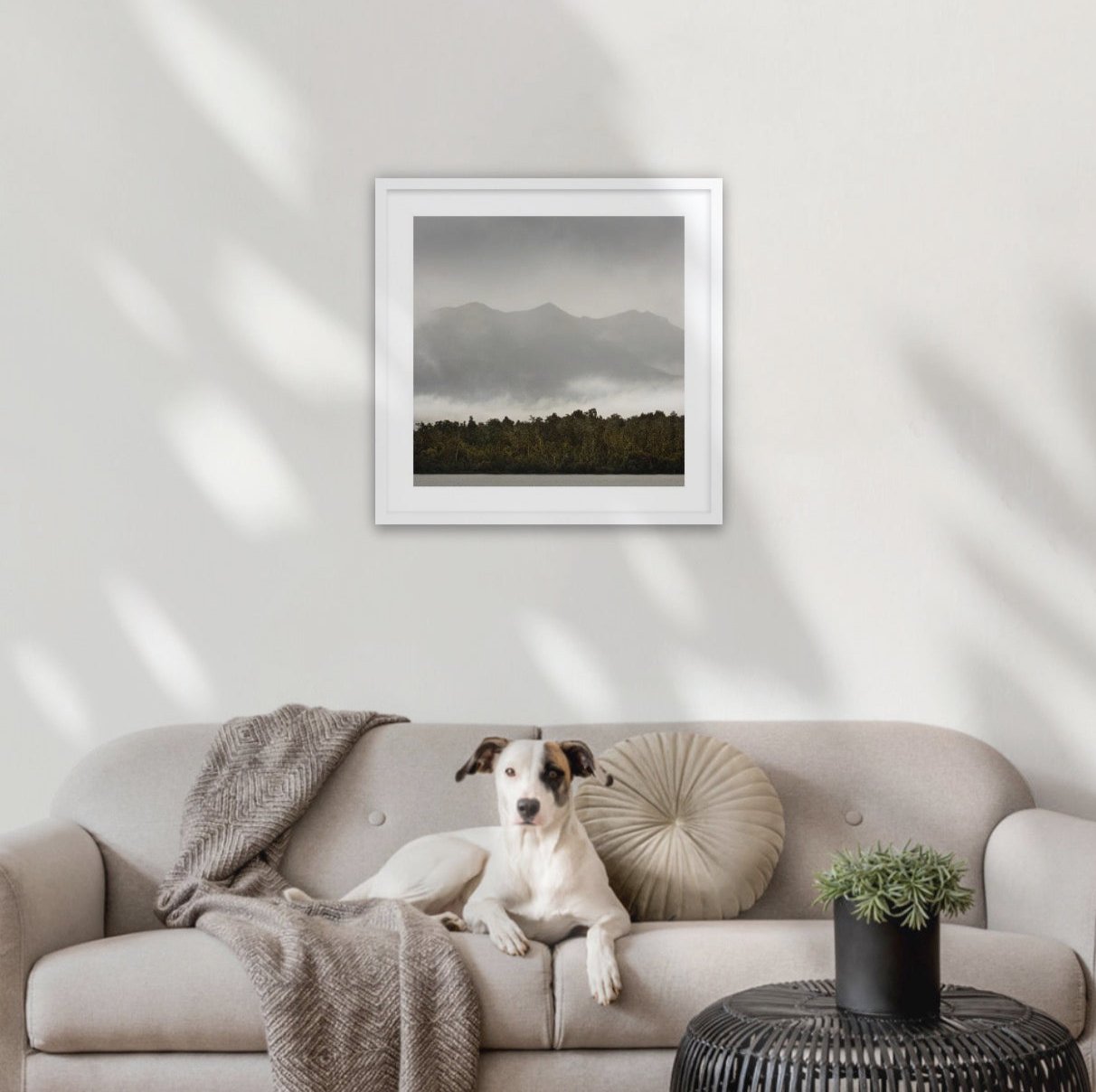 White wood frame (500 x 500mm print, 630 × 630mm frame)