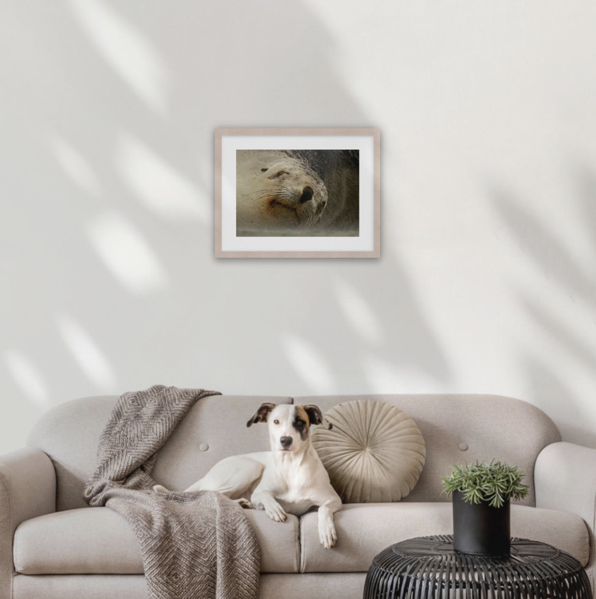 A3 wood frame (420 x 297mm print; 550× 420mm frame)