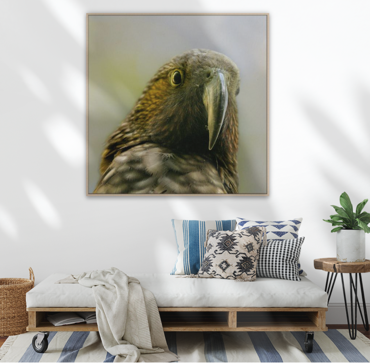 Framed canvas portrait of a Kaka parrot on a wall above a sofa. Square art.
