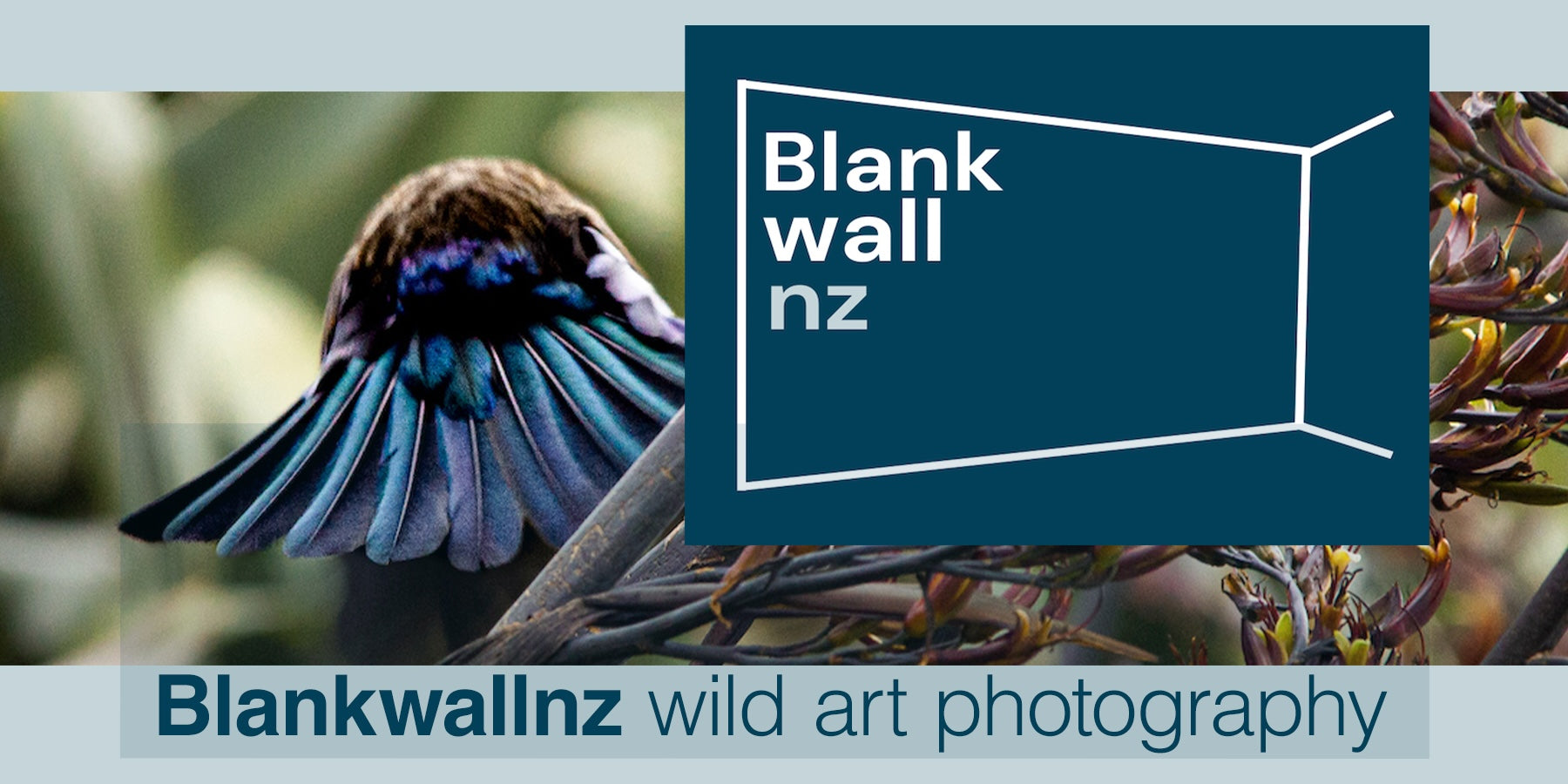 Blankwallnz